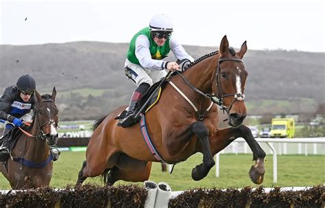 Dave Nevison's weekend tips: best bets for Cheltenham .
